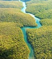 Самая длинная река Амазонка в Южной Америке