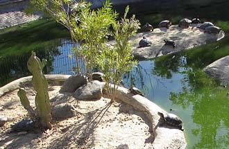 Торремолинос зоопарк