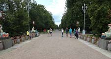Дорога  в Александровском парке