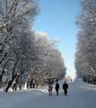 Зима в Павловском парке